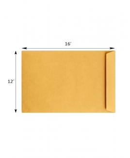 Giant Envelope 12" X 16" (A3)